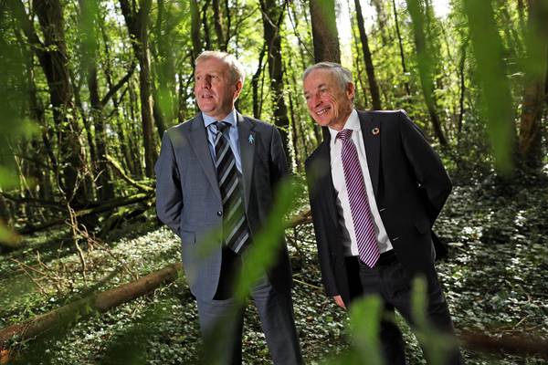 More than half a million trees to be planted on former boglands