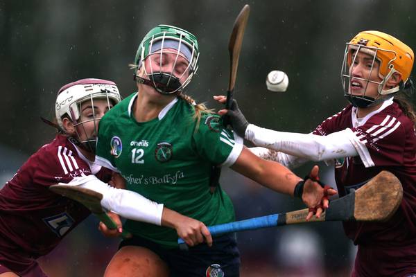 Oulart and Sarsfields set up another All-Ireland club camogie final meeting