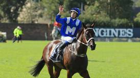 Connections of Winx decide to duck Ascot challenge