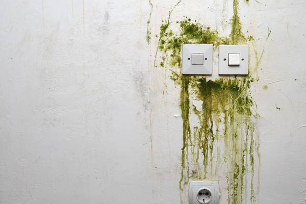 A green sticky substance is oozing from our sockets. Who we gonna call?
