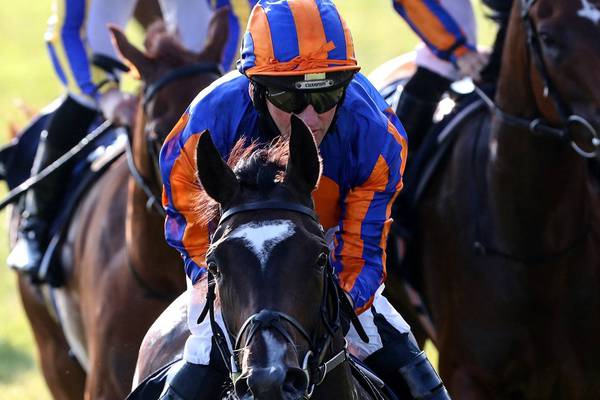Aidan O’Brien favourite for leading trainer at Ascot