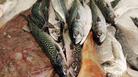 Icelandic ambassador appeals for talks over mackerel row