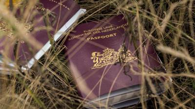Interpol starts identifying victims of the MH17 crash