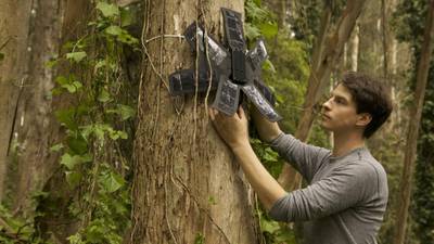 The rainforest is calling...with its own phone