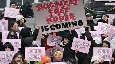 South Korea’s parliament passes bill to ban dog meat trade