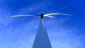 Bord Pleanála refuses Coillte planning permission for wind farm in Carlow