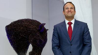 Fine Gael poised to reject Varadkar call for campaign cap
