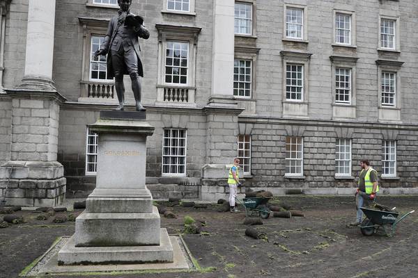 Trinity College lawns dug up to make room for wild flowers
