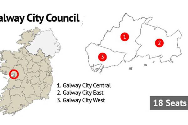 Galway City Council: Green Party take two seats as six new councillors elected