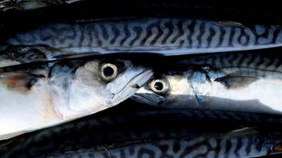Eating oily fish 'can extend lifespan by two years'