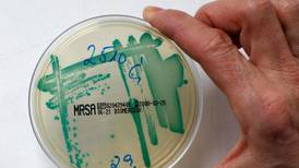 Superbugs could kill extra 10 million a year, UK review finds