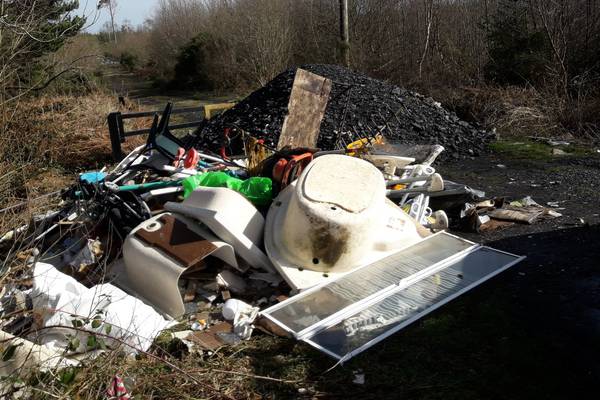 Public more willing to report illegal dumping in forests during pandemic, says Coillte