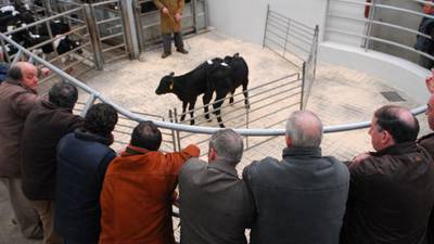 Marts pessimistic they will get paid in receivership of livestock exporter