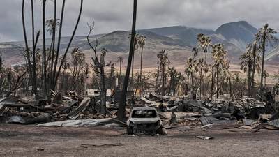 Hawaii wildfires: Tourists urged to stay away from Maui as death toll of 93 set to rise