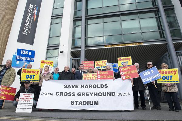 Losses at Harold’s Cross greyhound stadium halved in 2016