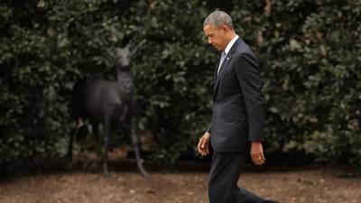 Distressed Democrats desperate for some – any – action from Obama