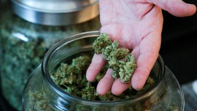 Oregon and Alaska vote to legalise recreational marijuana use