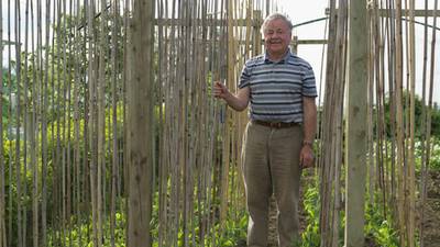 Champion allotment-grower shows how it is done