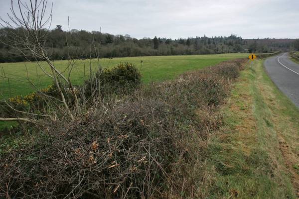 Government may have to dilute controversial hedge-cutting Bill