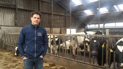 Dutch dairy farmers gearing up for post-quota reality