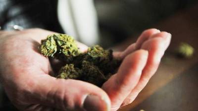 Cannabis a ‘tantalising horizon’ for combating severe seizures