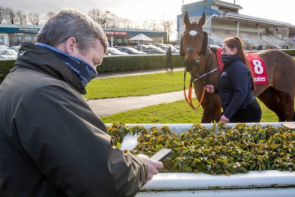 Dead horse in Gordon Elliott photograph was owned by Michael O’Leary