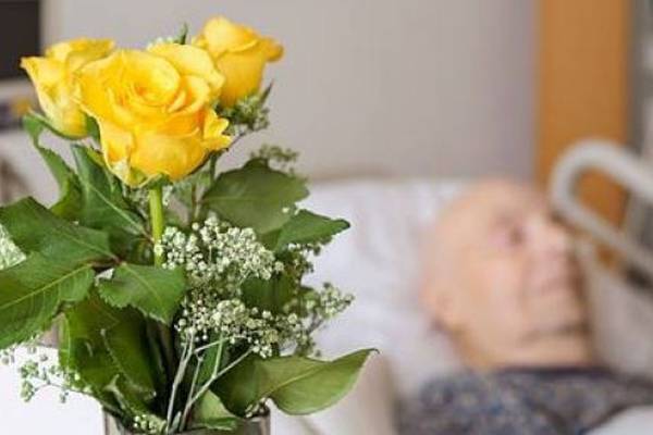 Hospice Foundation recommends that no Covid-19 patient be allowed die alone