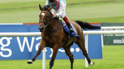Enable to stay in training in 2019 and bid for a third Arc victory