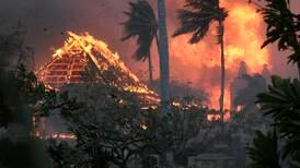 At least 36 killed as Hawaii wildfires raze resort city on Maui island
