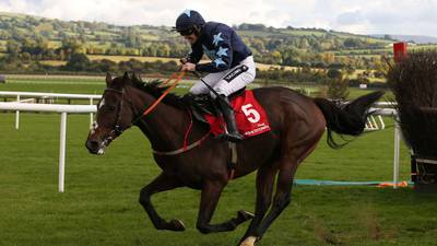 Five-star show from Three Stars at Punchestown