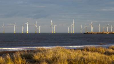 Irish businesses need to wake up to climate risk reality, COP26 event told