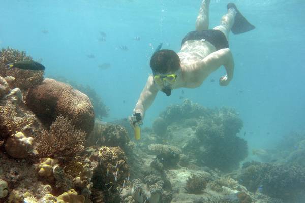 Australia warns Unesco over placing Great Barrier Reef on its ‘in danger’ list