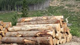 Warnings of jobs losses in forestry and higher timber prices