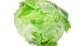 Do you know your crisphead lettuce from your butterhead?