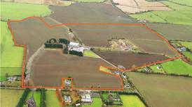 Comers emerge as buyers of 111-acre Dublin 15 site