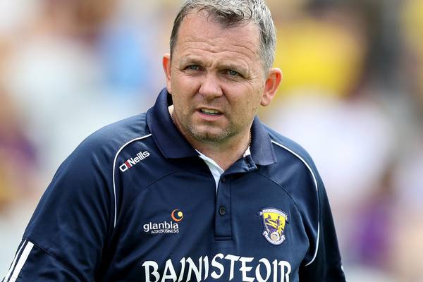 Davy Fitzgerald to lead Wexford hurlers in 2019
