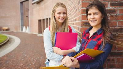 Fintan O’Toole: Ireland’s brilliant education system is a complete fluke