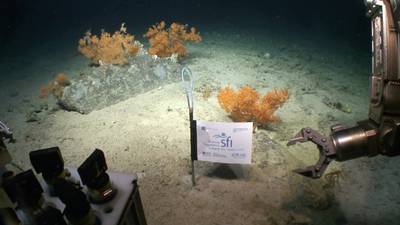 Vast deep-sea canyon 3,000m deep mapped off Kerry coast