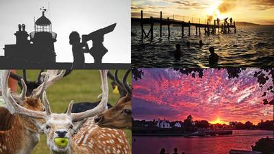 Summer photography competition: Your best entries from week two