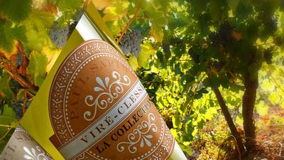 Irish wine importer Febvre sells French subsidiary