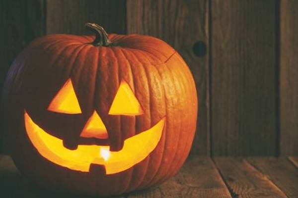 Halloween 2020 activities: Camp at home, visit a fairy trail or view an online festival