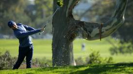 Rory McIlroy makes move at Torrey Pines as Rose leads