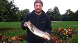 Angling Notes: Wild brown trout season ends well with charity fish