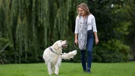 Love, unleashed: Marley and Me stories from Irish doggie people