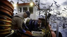 €6m EU funding for Irish fishing suspended in ‘hostile’ row