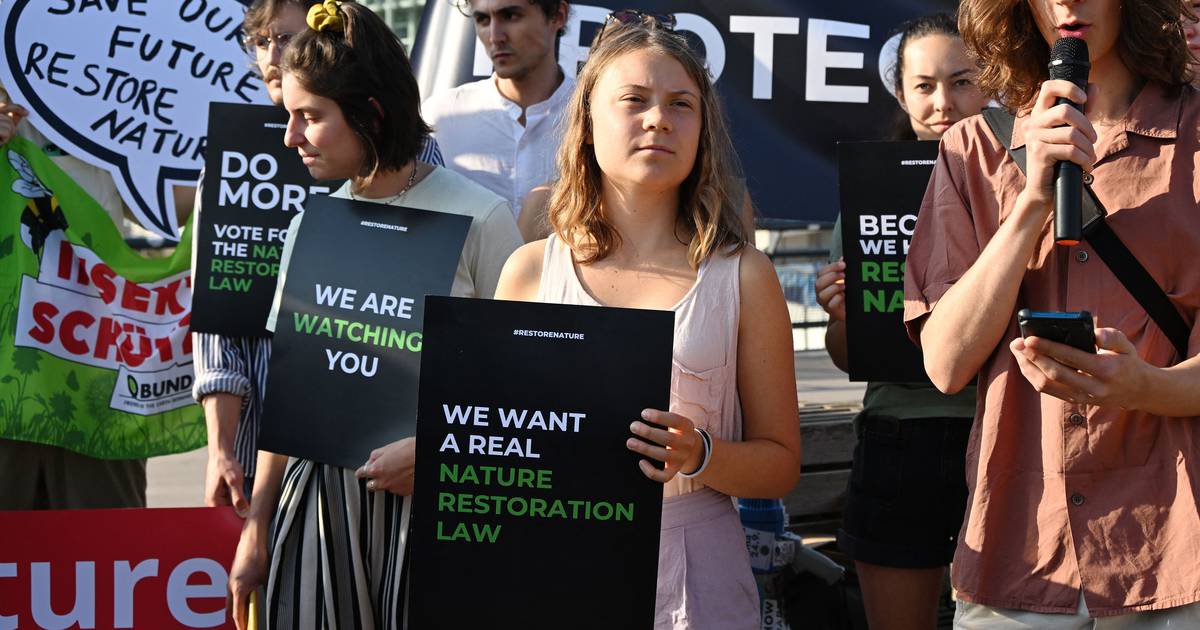 Les politiciens européens adoptent un vote controversé sur la loi sur la restauration de la nature – The Irish Times