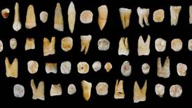 Teeth from Chinese cave recast history of early human migration