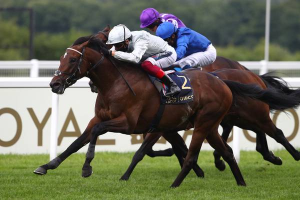 Palace Pier extends unbeaten record in Prix Jacques le Marois