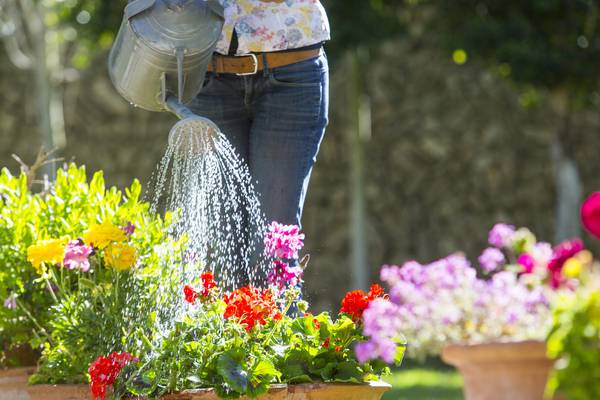 Patio pleasers: 10 tips for summer plant pots that will flower all season long