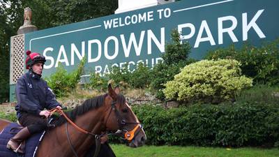 Sandown falls foul of the weather